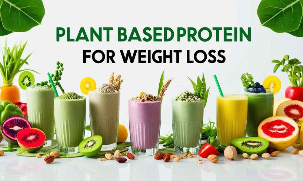 plant based protein shakes for weight loss - gymsporti 1